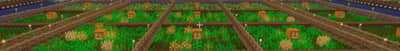 StoneAge | 1.21.11 | PVP, кланы, без вайпов Minecraft server banner