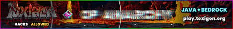 Toxigon Network Minecraft server banner