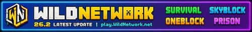 WildNetwork Minecraft server banner