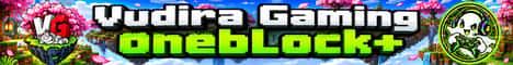 -[EU]- Vudira.com - OneBlock+ Minecraft server banner