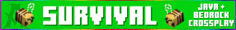 Advancius Network Minecraft server banner